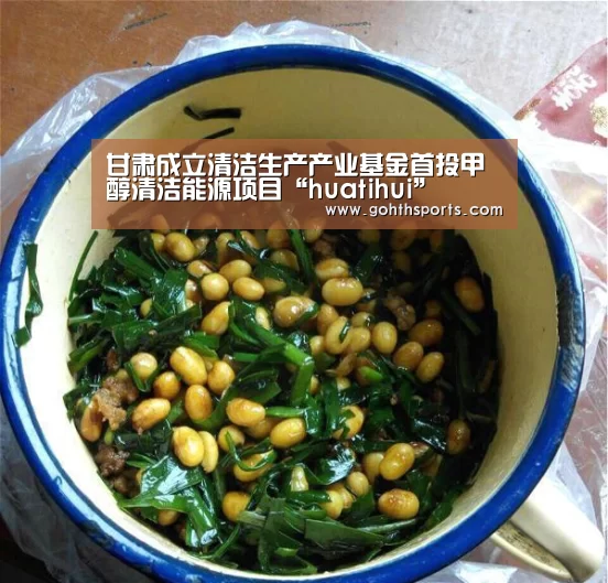甘肃成立清洁生产产业基金首投甲醇清洁能源项目“huatihui”(图3) 华体会官网入口