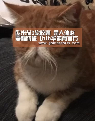 欧米茄3软胶囊 是人体必需脂肪酸【hth华体育官方入口】