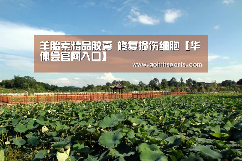 羊胎素精品胶囊 修复损伤细胞【华体会官网入口】