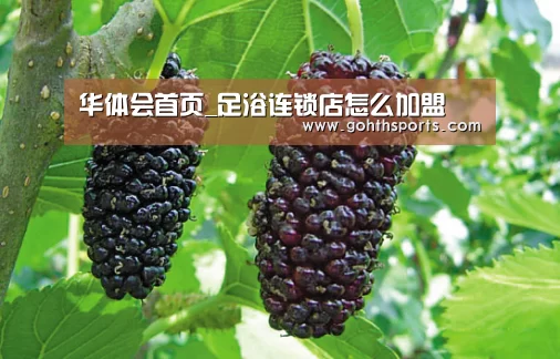 华体会首页_足浴连锁店怎么加盟