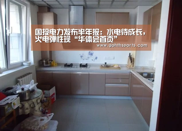 国投电力发布半年报：水电待成长，火电弹性现“华体会首页”(图3)