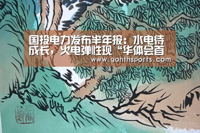 国投电力发布半年报：水电待成长，火电弹性现“华体会首页”