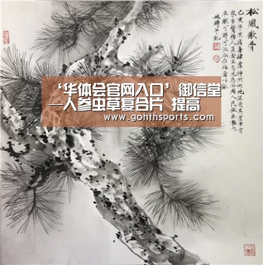 华体会官网入口