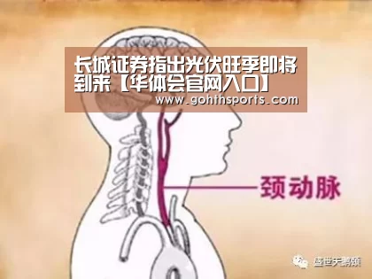华体会官网入口