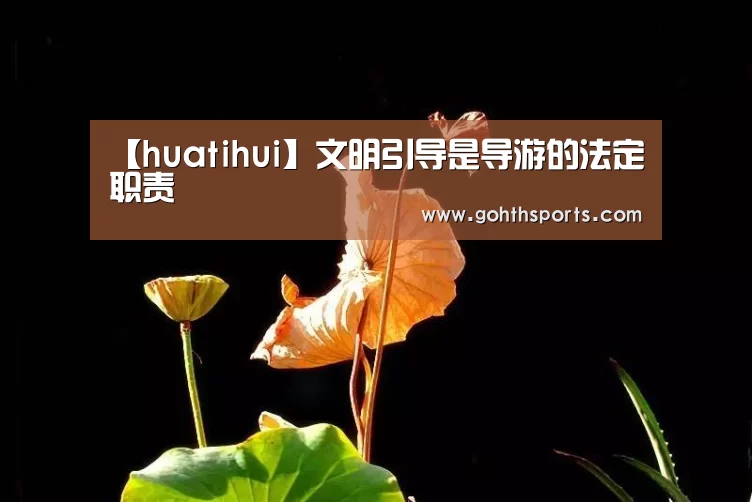 华体会官网入口