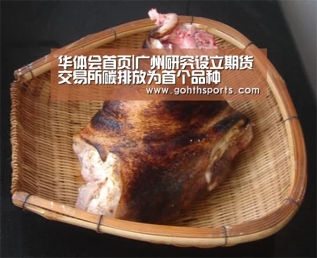 华体会首页|广州研究设立期货交易所碳排放为首个品种