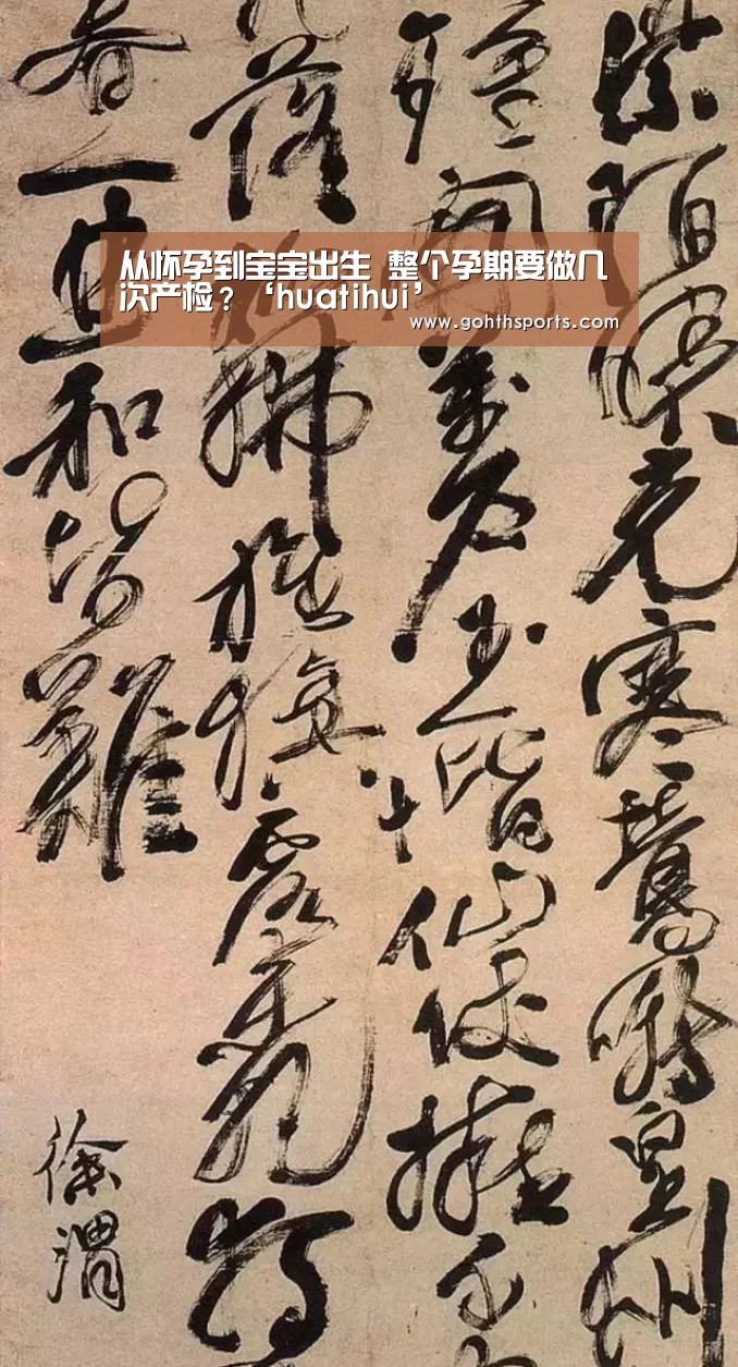 hth华体育官方入口