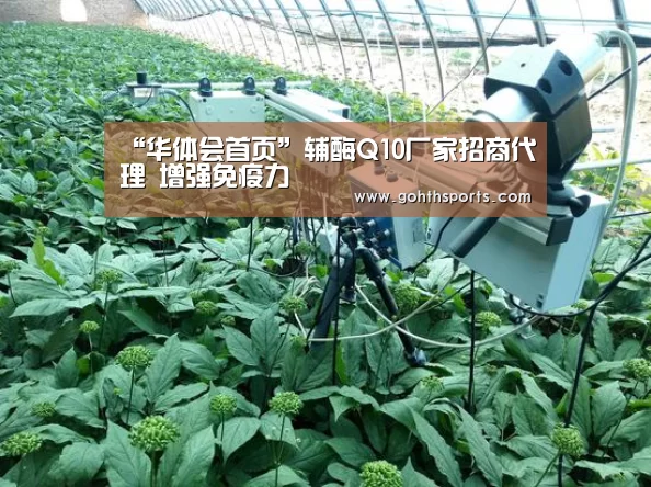 “华体会首页”辅酶Q10厂家招商代理 增强免疫力